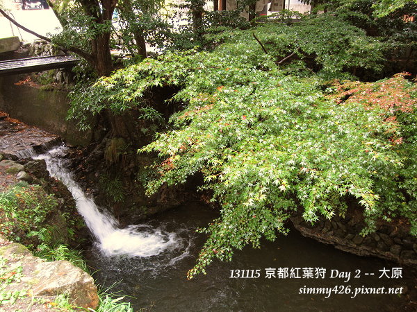 大原(23) 大原(23)