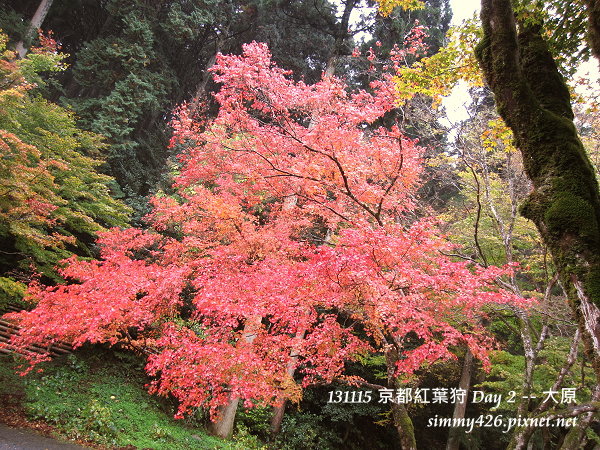 大原(28) 大原(28)