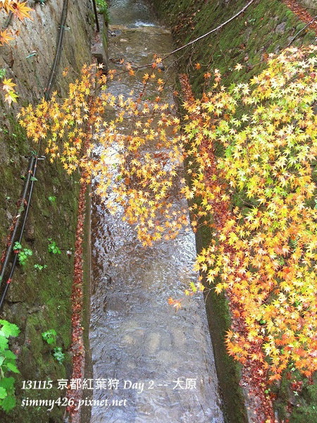 大原(32) 大原(32)
