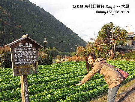 老姐(10) 老姐(10)