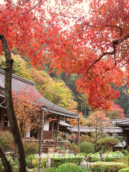 寂光院(11) 寂光院(11)