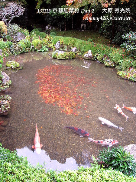 寂光院(13)