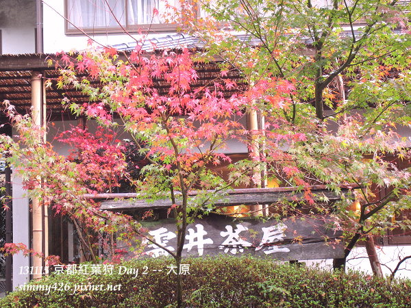 雲井茶屋(2) 雲井茶屋(2)