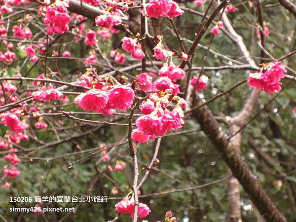 150206 礁溪溫泉公園(8).jpg 150206 礁溪溫泉公園(8).jpg