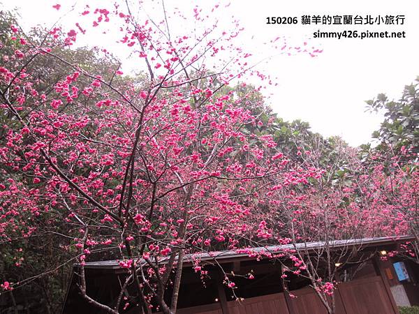 150206 礁溪溫泉公園(7).jpg 150206 礁溪溫泉公園(7).jpg