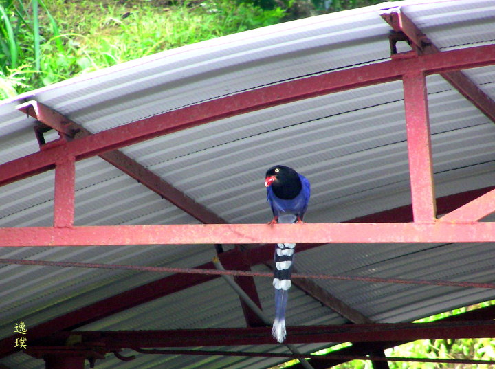 P1010040-1-0 P1010040-1-0