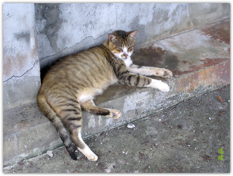 猴硐 213-0 猴硐 213-0