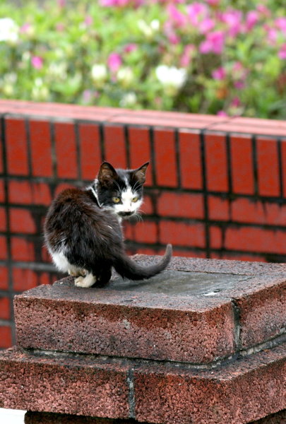 2012散步1 009-1-0 2012散步1 009-1-0