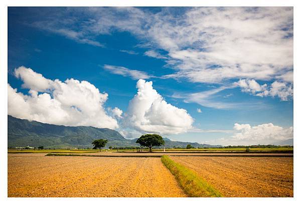 IMG_6857-2 IMG_6857-2