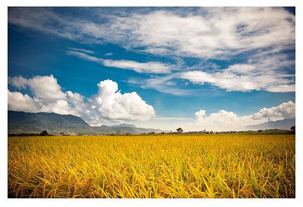 IMG_6855-3 IMG_6855-3