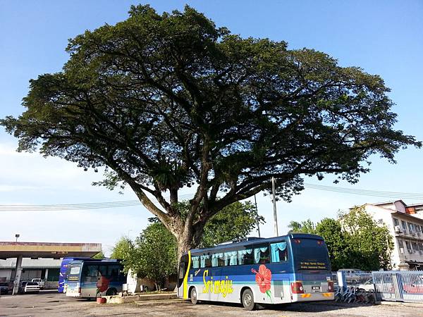 20140115_092741.jpg 20140115_092741.jpg