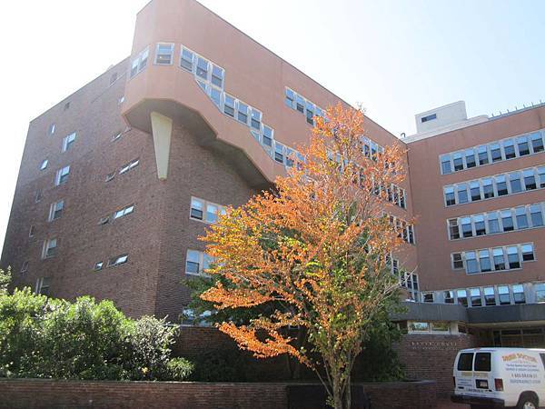 IMG_2852.jpg IMG_2852.jpg