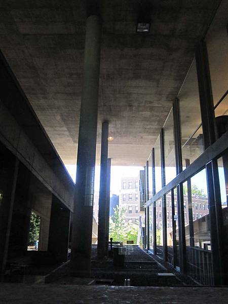 IMG_2997.jpg IMG_2997.jpg