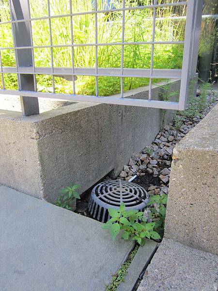 IMG_3051.jpg IMG_3051.jpg