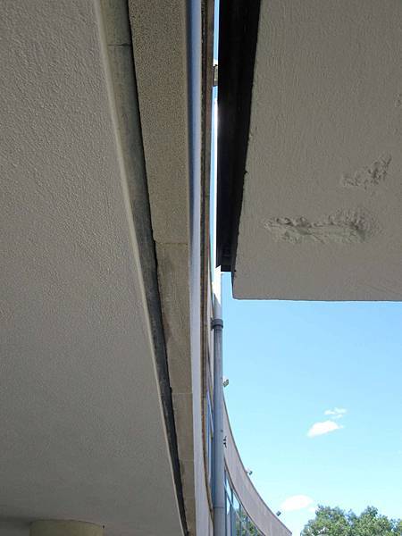 IMG_3141.jpg IMG_3141.jpg