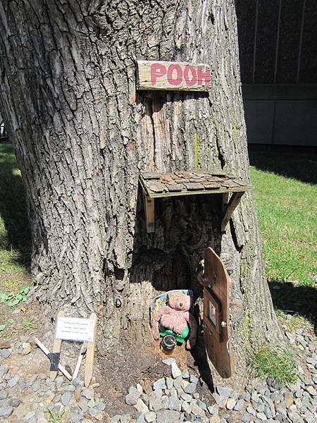 IMG_3156.jpg IMG_3156.jpg