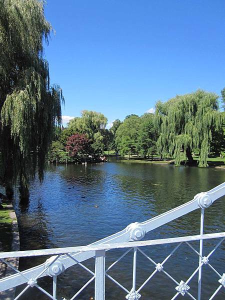 IMG_3174.jpg IMG_3174.jpg