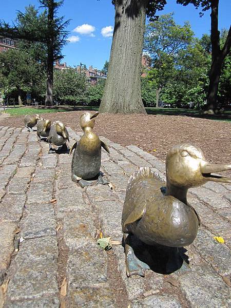 IMG_3191.jpg IMG_3191.jpg