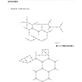 劉大維論文_Page_044