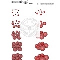 劉大維論文(最小化)_Page_064.jpg