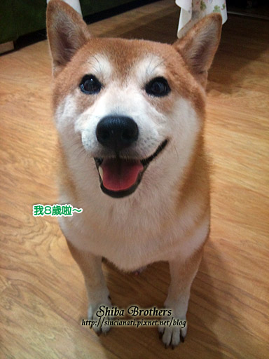 DSC_0001拷貝.jpg DSC_0001拷貝.jpg
