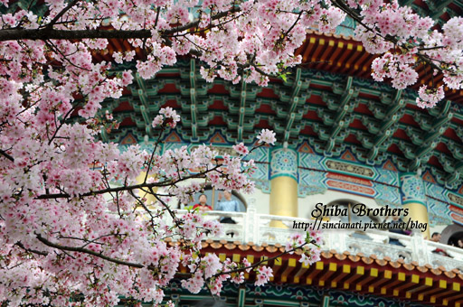 01_DSC_0177 01_DSC_0177