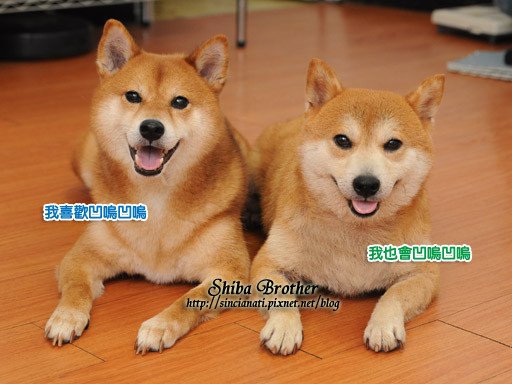 DSC_5862拷貝.jpg DSC_5862拷貝.jpg