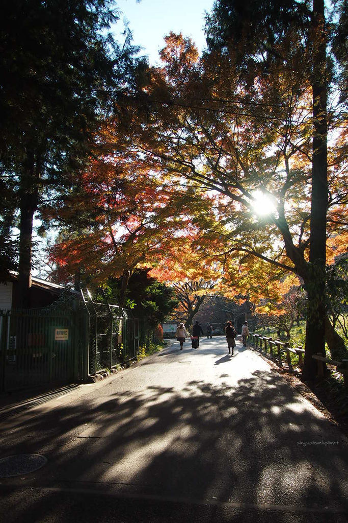 PC124379.jpg PC124379.jpg