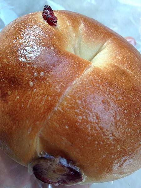 10937677_10202702150908545_844397411_n