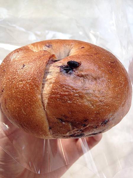 10943173_10202702151028548_390860011_n