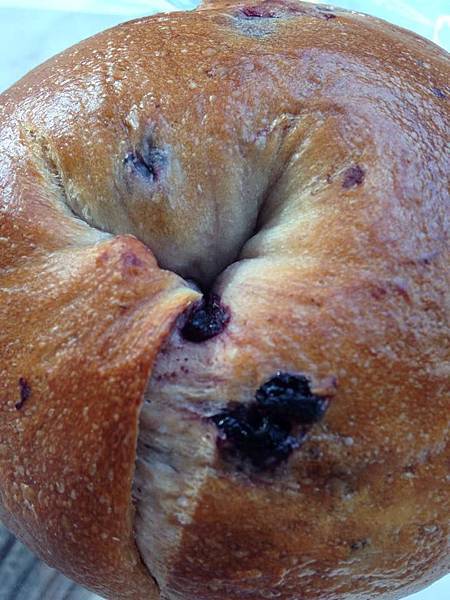 10937817_10202702151108550_440442616_n