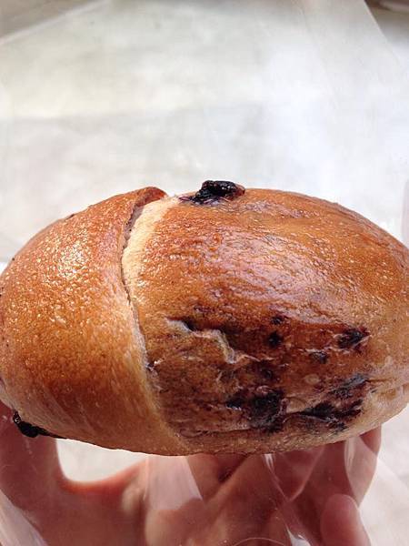 10884969_10202702150988547_830184026_n