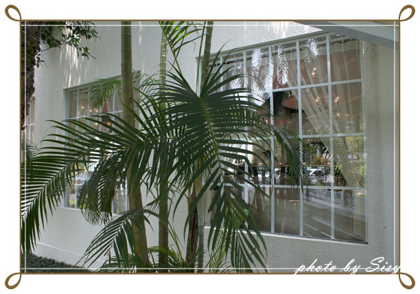 DSC07881.JPG DSC07881.JPG