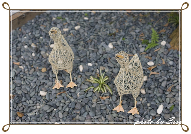 DSC08149.JPG DSC08149.JPG