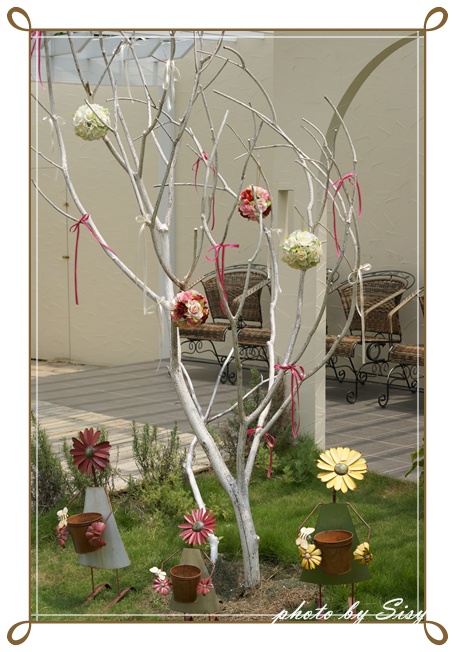 DSC07900.JPG DSC07900.JPG