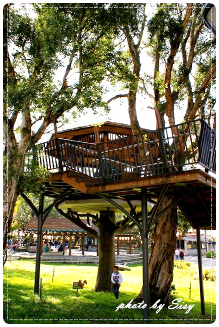 西西馬麻推薦桃園奧爾森林學堂 有貓頭鷹 快點我去看!