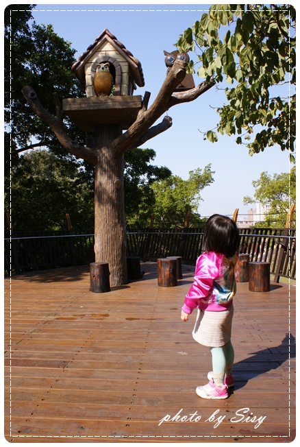 西西馬麻推薦桃園奧爾森林學堂 有貓頭鷹 快點我去看!