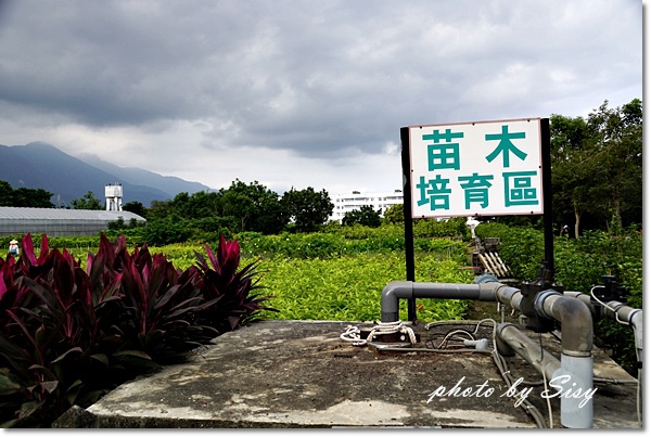 DSC03637