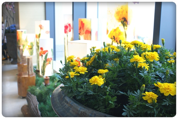 DSC00536.JPG DSC00536.JPG