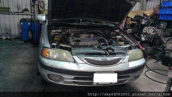 IMAG7045 IMAG7045