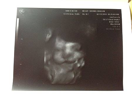 S__6529026 S__6529026