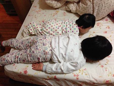 IMG_0468.JPG IMG_0468.JPG