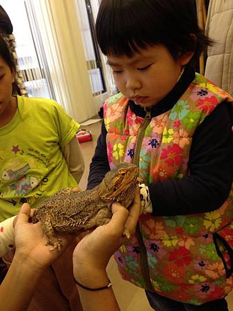 IMG_9529.JPG IMG_9529.JPG