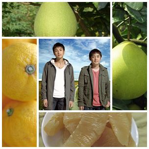 Yuzu Yuzu