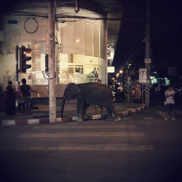 IMG_20150131_231406~2.jpg IMG_20150131_231406~2.jpg