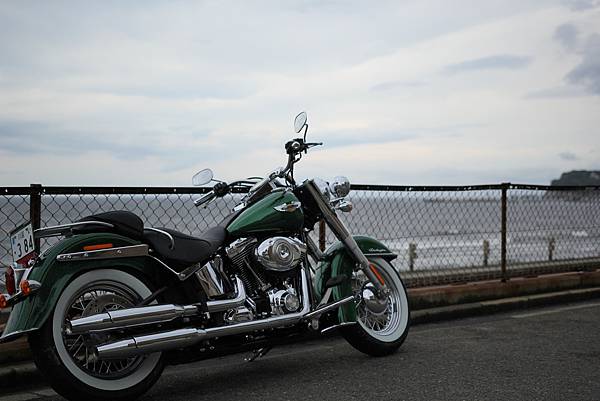 IMG_0172 IMG_0172