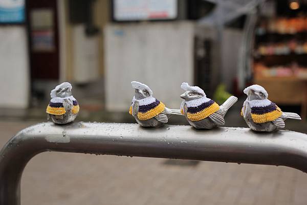 IMG_0106 IMG_0106