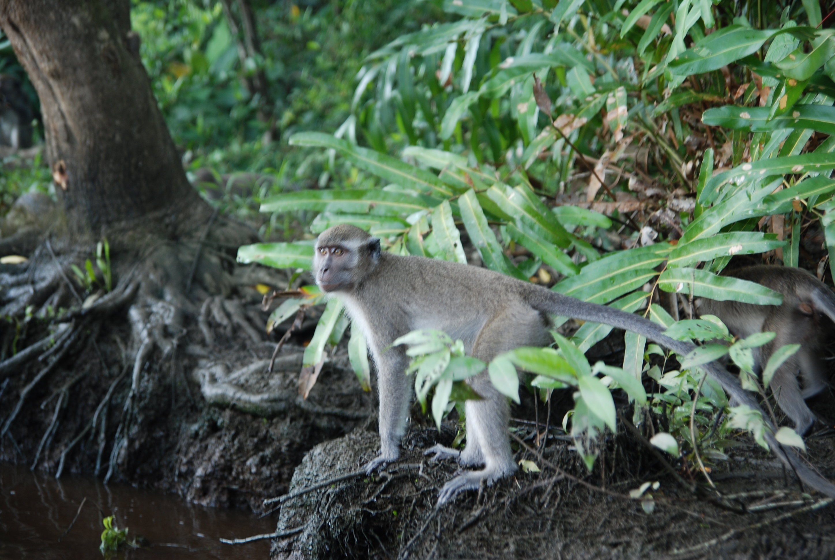 DSC_0104.JPG DSC_0104.JPG