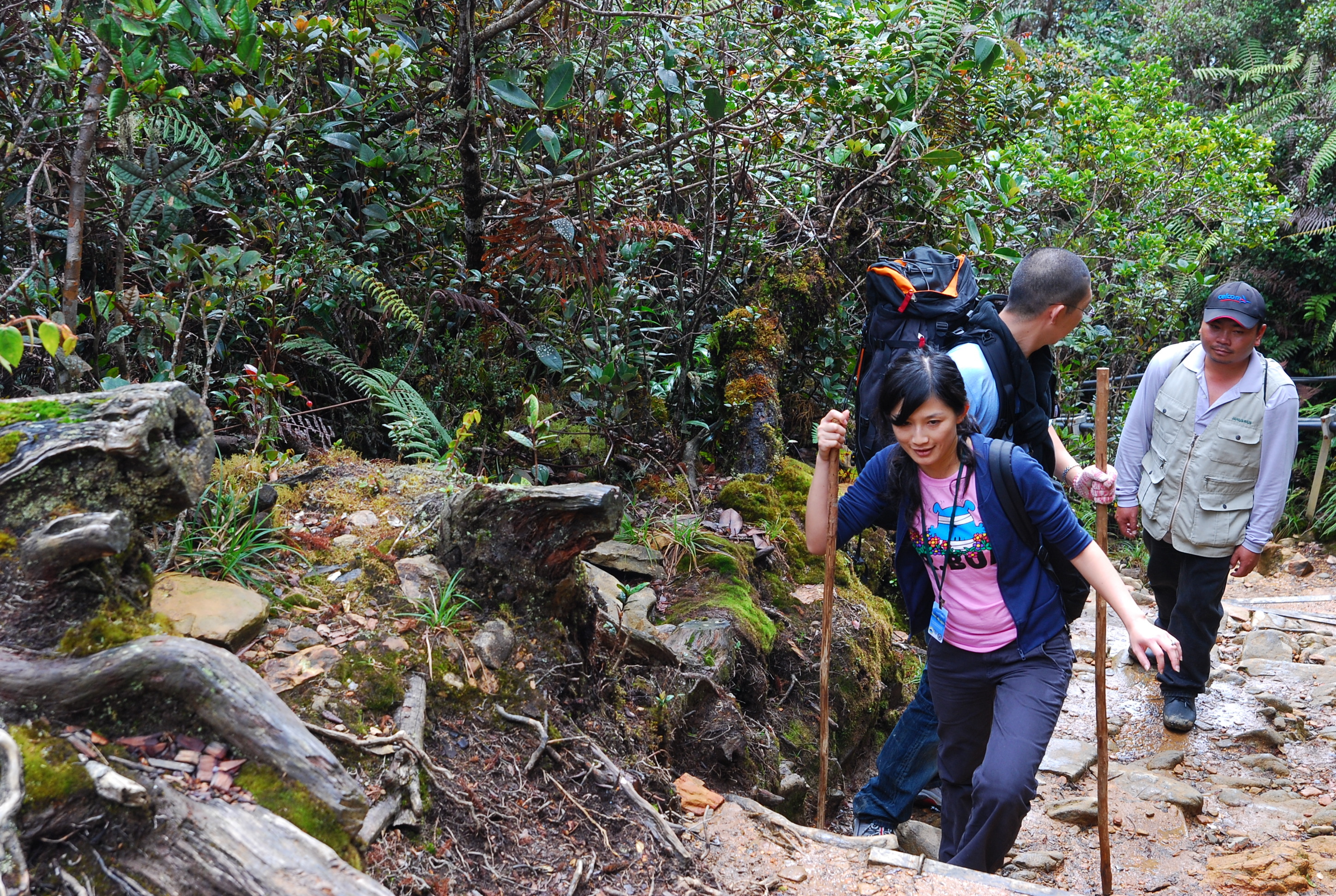 DSC_0312.JPG DSC_0312.JPG