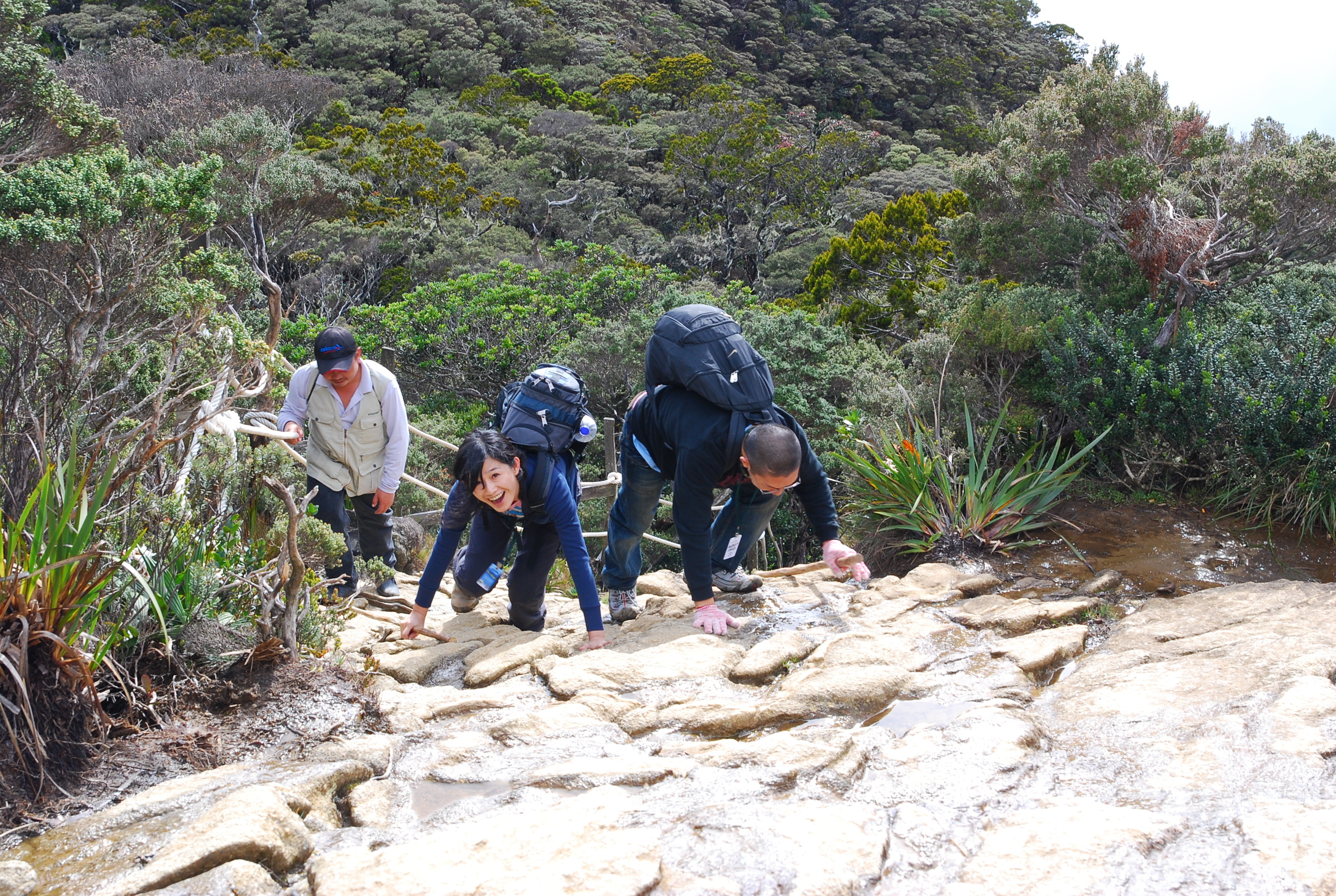 DSC_0332.JPG DSC_0332.JPG